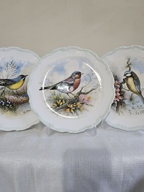 1982 Royal Albert Bone China Made In England - The Woodland Birds Collection